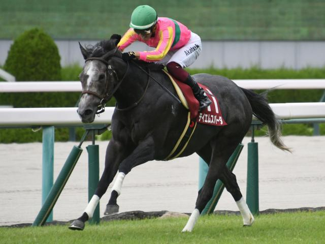 【アイビスSD・馬体重】テイエムスパーダは502kg(+6)、ピューロマジックは446kg