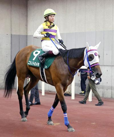 【アイビスSD】今村聖奈騎手とコンビのニシノトキメキは17着「自己条件でまた頑張っていきたいです」