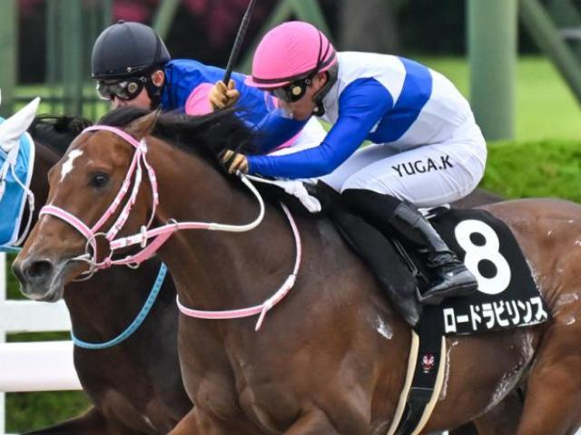 【レパードS】川田将雅騎手が今年こそ初制覇なるか 連勝中のロードラビリンスで参戦