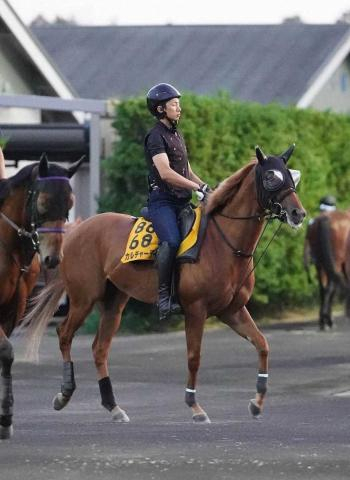 【CBC賞】カルチャーデイ　1週前自己ベスト　四位師も自信「仕上がりの早い牝馬」