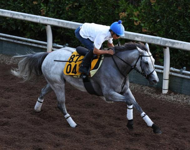 【CBC賞】グランテスト　坂路単走馬なり4F53秒5　今野師「昨年よりいい状態」