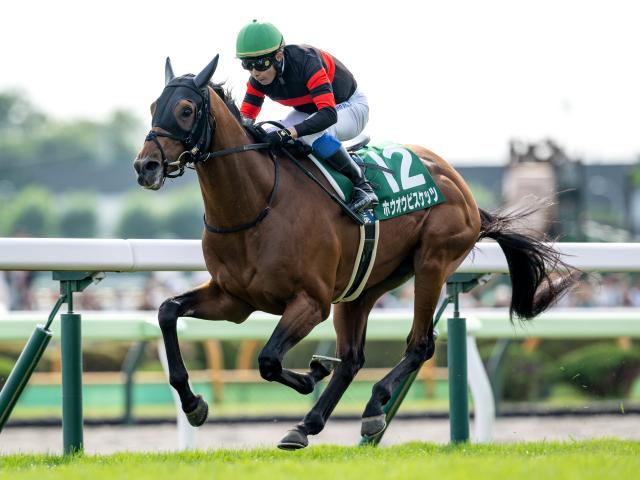 【札幌記念想定馬・騎手】ホウオウビスケッツ、ステレンボッシュなど18頭