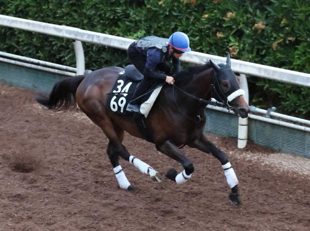 【レパードS】ドンインザムード　直線差し切り初重賞　雨中の一戦モノにして父子制覇