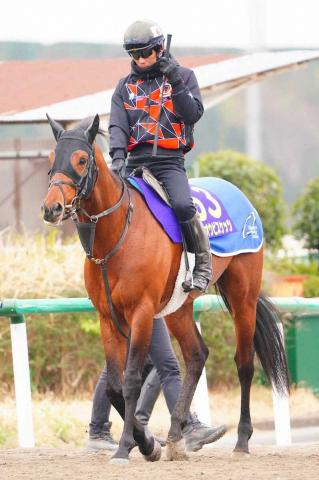【札幌記念】ホウオウビスケッツ　力強い脚さばき　岩田康「馬は凄く落ち着いている」