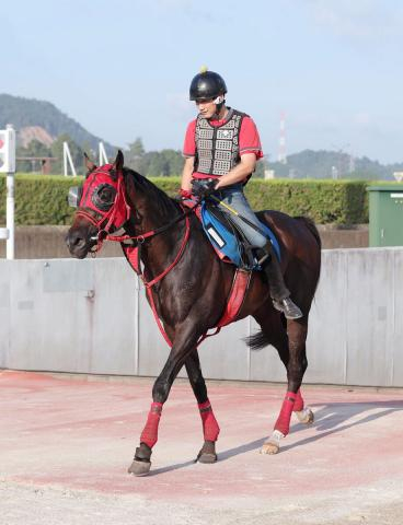 【中京記念】坂井瑠星騎手との新コンビで重賞初V狙うエコロヴァルツ　牧浦調教師「やれる力はあると思っている」
