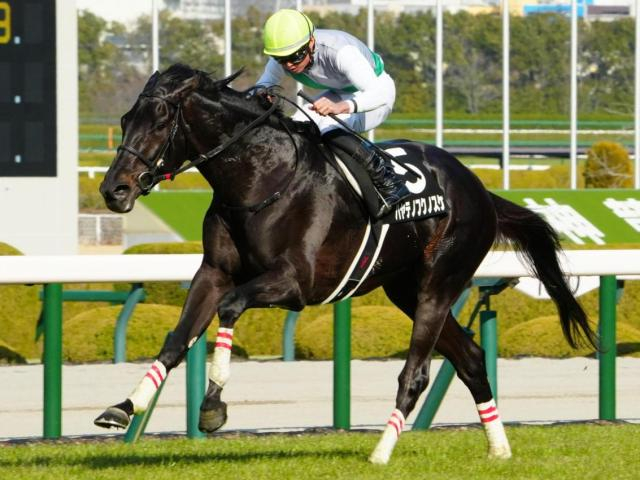 【札幌記念】青森産馬のJRA重賞制覇なら5年ぶり ハヤテノフクノスケが初タイトル狙う