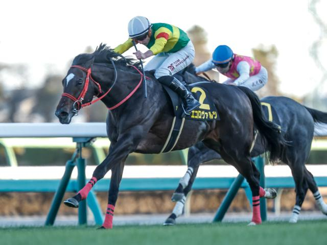 【中京記念予想オッズ】エコロヴァルツが予想1番人気