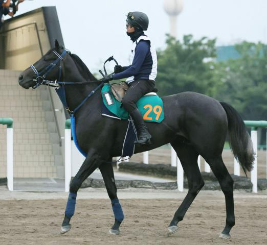 【新潟2歳S1週前】リアライズシリウスが自己ベスト更新　津村明秀騎手「反応良くなっていた」