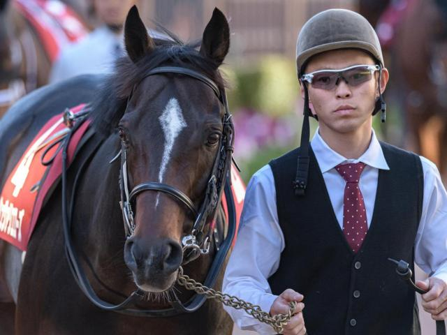 今週の武豊騎手は13鞍 シュヴァリエローズで札幌記念9勝目なるか