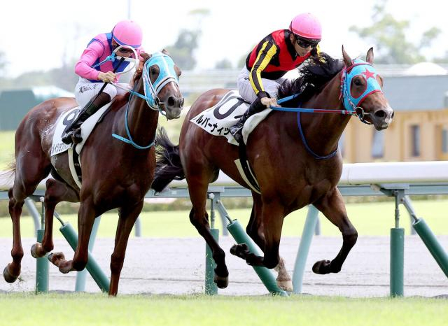 「メイショウ」松本好雄オーナーのJRA通算2000勝は持ち越し　17日は3場で計8頭が出走