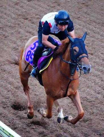 【中京記念】3歳牝馬マピュースが重賞初制覇　2着は逃げたシンフォーエバーで3歳馬ワンツー