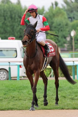 【札幌記念】牝馬ココナッツブラウンが追い込んで2着　北村友一騎手「勝ち馬の立ち回りの素晴らしさに尽きます」