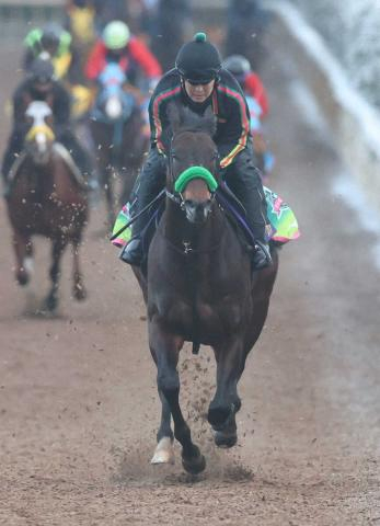 【佐賀競馬　Jpn3サマーチャンピオン　9.4発走】選定馬発表　エンペラーワケアなど12頭