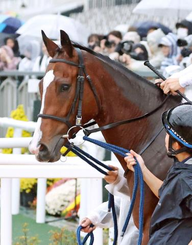 【キーンランドC】3連勝中のカルプスペルシュが丹念に調整　陣営「札幌の水が合うのでしょう」