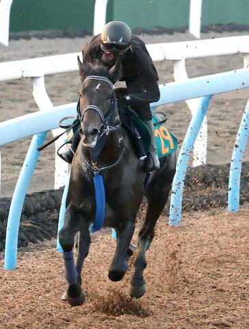 【新潟2歳S】新馬戦を7馬身差圧勝のリアライズシリウスは今回も順調　手塚久調教師「ポカがないタイプ」