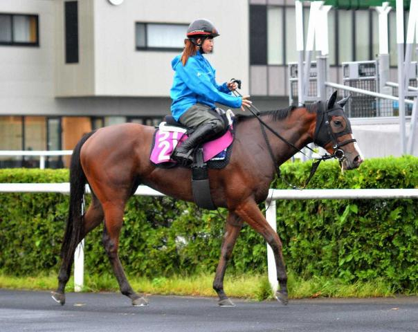 【キーンランドC】カルプスペルシュ　得意舞台で勝機　陣営「ストレスはなさそう」