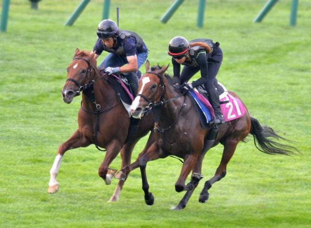 【キーンランドC】カルプスペルシュ　狙い通りの調整　陣営「余力があっていい状態」