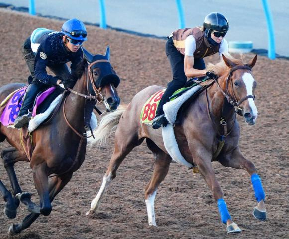 【新潟2歳S】ヒルデグリム　ラストはグイグイ　陣営「ラストの反応も申し分ない」