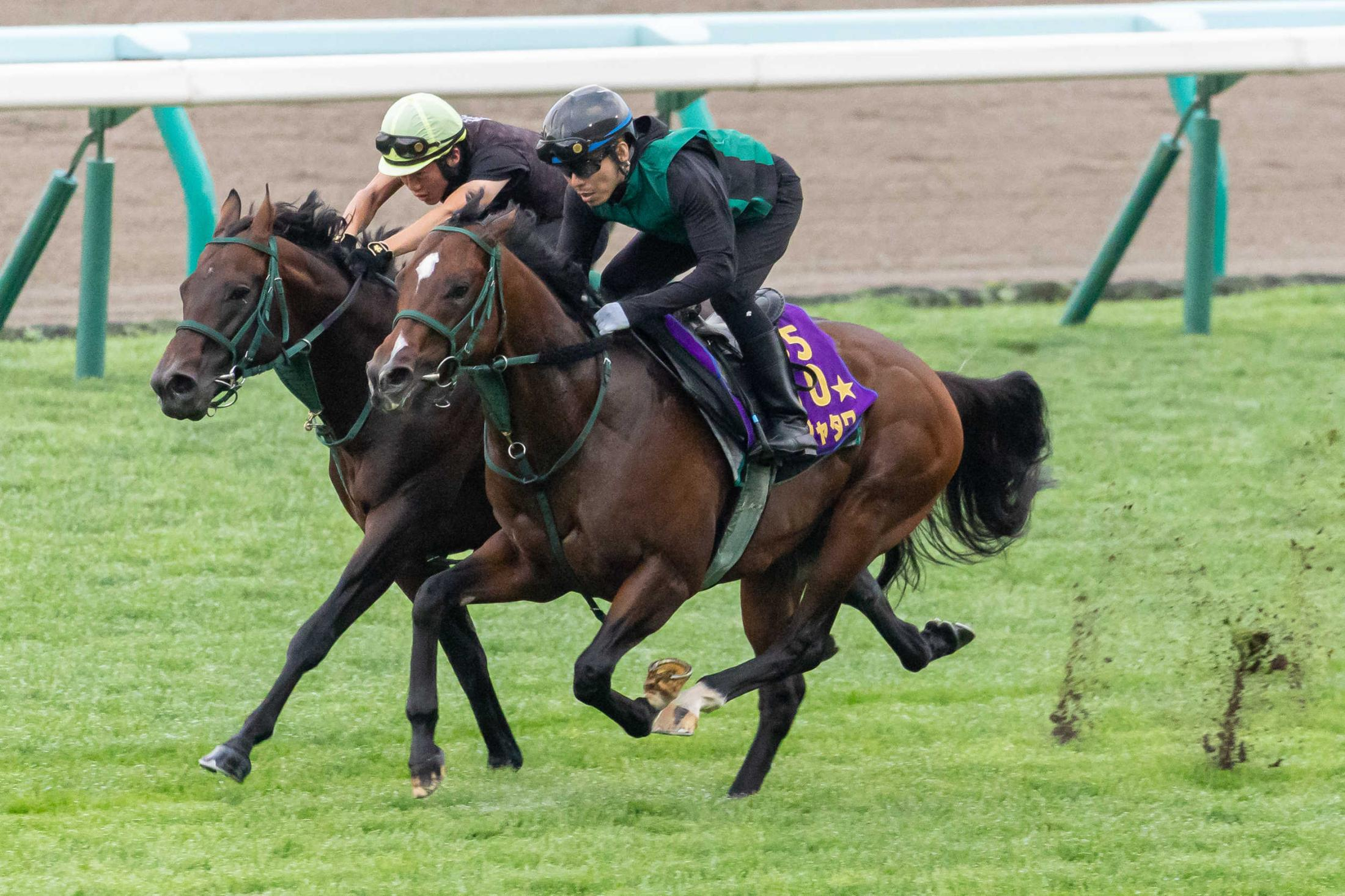 【キーンランドＣ】パンジャタワー超抜リハ　国内での始動戦へ万全　Ｇ１馬の貫禄！ラスト１Ｆ１１秒５　次戦は海外遠征予定