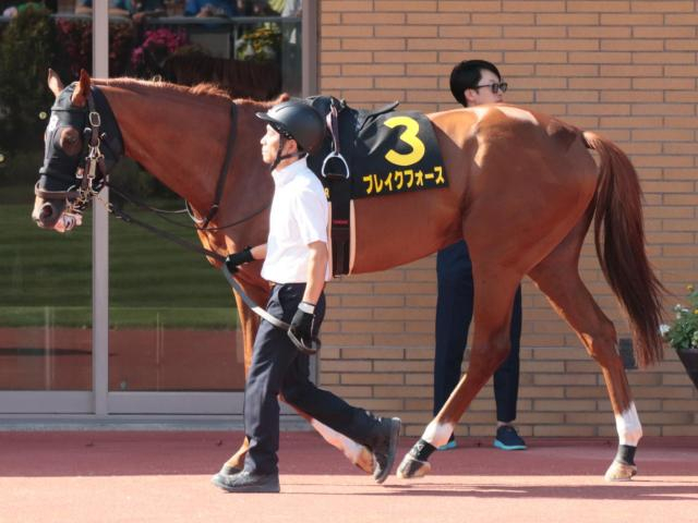 【BSN賞】脚質は前有利 5歳馬が圧倒的優勢
