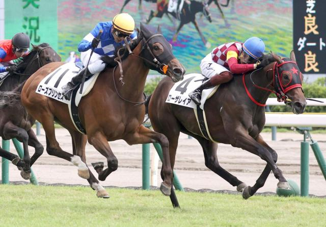 【新潟5R・2歳新馬】ベッラレイアの孫、ローザレイアがしぶとく押し切り　三浦皇成騎手「とにかく素直な馬」
