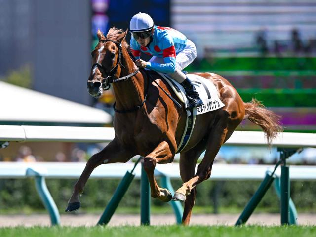 【札幌5R新馬戦結果】ミスティックレナンが逃げ切り勝ち クラックスマン産駒のJRA初勝利
