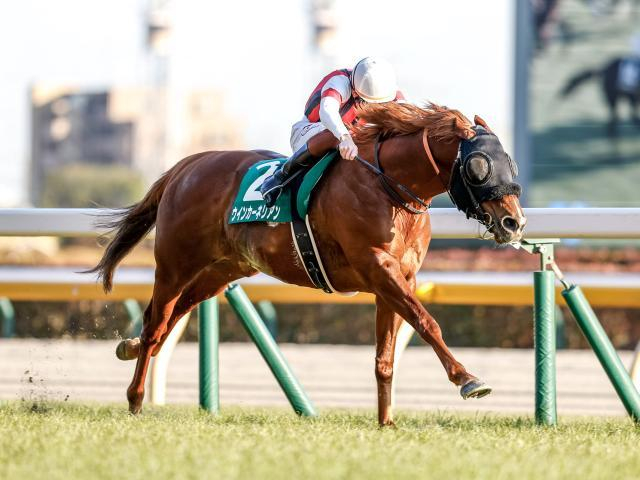 【キーンランドC・馬体重】ウインカーネリアンは512kg、パンジャタワーは488kg(+8)