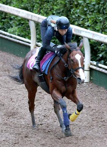 【キーンランドC】「いくらなんでも」「聞いてないぞ」直前の馬体重発表で20キロ増のカルプスペルシュに仰天