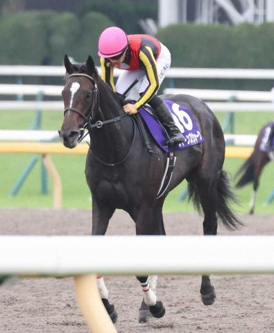 【新潟記念展望】豪華メンバー集結!　クイーンズウォーク実績上位