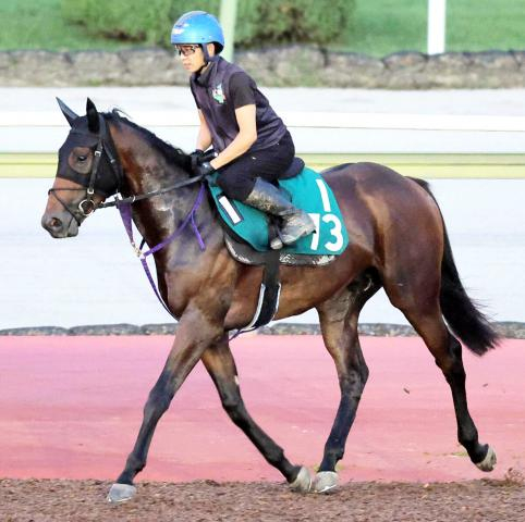 【中京2歳S・戸田の特注馬】未勝利でも侮るな　アイルトンが“音速”の走りで初代王者へ