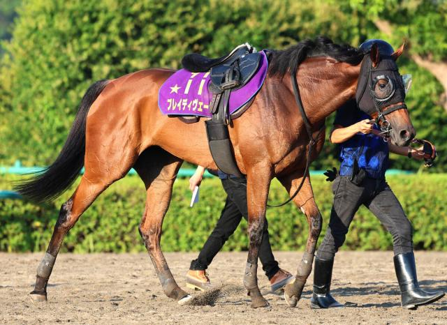 【新潟記念・角田の特注馬】ブレイディヴェーグの安田記念は負けて強し　ベストの中距離なら断然の存在だ