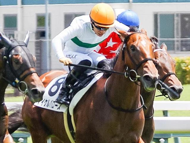 【中京2歳S】「2代目」マイケルバローズ 初代が果たせなかった重賞制覇なるか