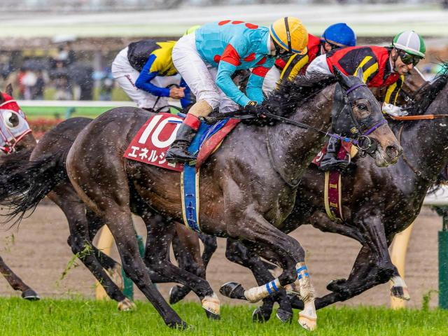 【新潟記念】レース史上初の無敗戴冠なるか 青葉賞覇者のエネルジコが参戦