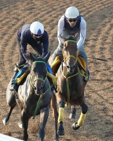 【新潟記念】シンリョクカ　竹内師動き絶賛「調教の動きは凄く良い」