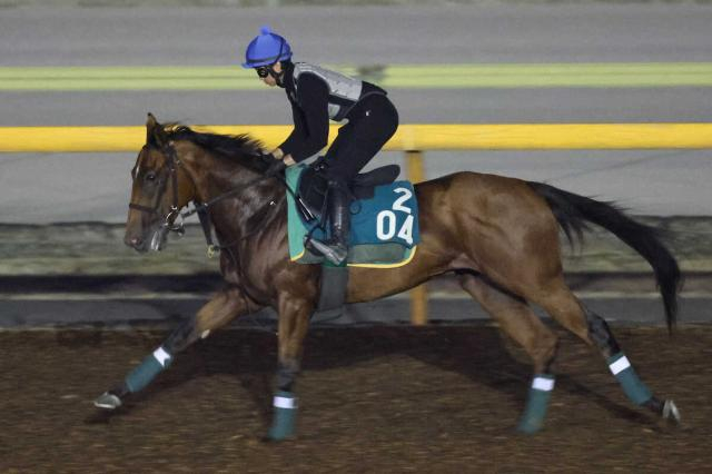 【中京2歳S】マイケルバローズ　馬なりのままでシャープな伸び　上村師「重賞でも楽しみ」