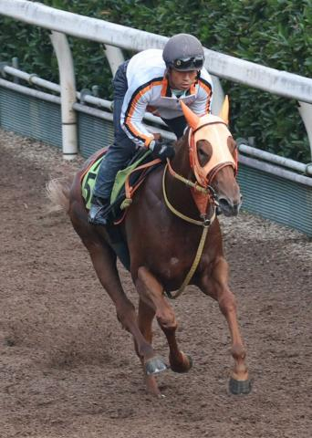 【中京2歳S】スターアニス　新設G3初代王者へ躍動!高野師流「坂路2本」仕上げ