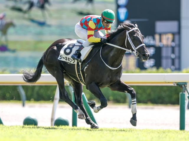 【POG】キャリア豊富なジーネキング、札幌2歳Sでも楽しみな存在に/馬三郎のつぶやき