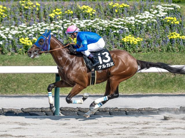 【盛岡・不来方賞枠順】前走5馬身差Vのナルカミは8枠12番 出走12頭