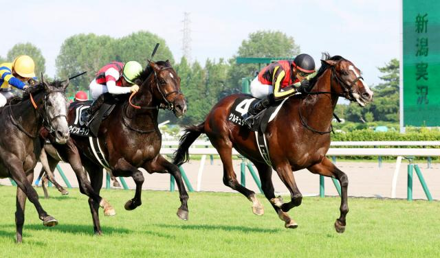 【新潟11R・日本海S】今年も3歳馬!ゲルチュタールが勝利　ドゥレッツァ、ヘデントールがVの出世レース