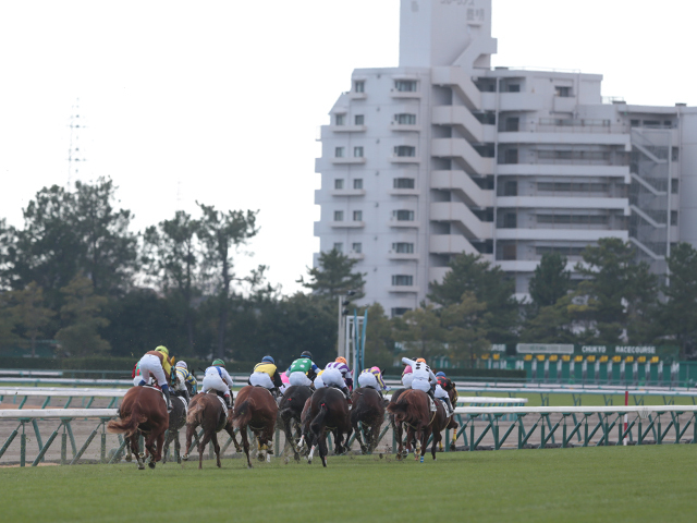 【中京6R新馬戦結果】サートゥルナーリア産駒カヴァレリッツォが5馬身差で圧勝