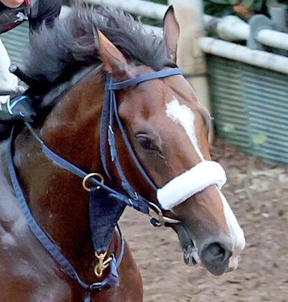 【中京6R・2歳新馬】カヴァレリッツォが豪快に突き抜け5馬身差V　北村友一騎手「いいエンジンを持っている」