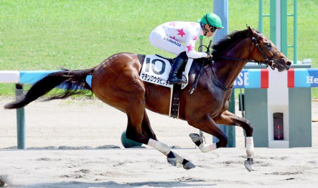 【新潟6R・2歳新馬】マテンロウダビンチが6馬身差の独走V　川田将雅騎手「将来につながる競馬を」