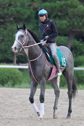 【中京2歳S】キャンディード　ゴール前で逆転して重賞初V　コースレコード更新