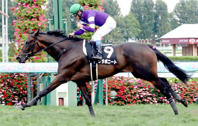 【日高S】リラボニートが2連勝でオープン入り　浜中俊騎手は「よく走ってくれた」とガッツポーズ