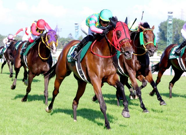【新潟記念】秋の女王へ、シランケドとは言わせない!G1馬も無敗馬も一蹴で重賞2勝目!瑠星騎手「あとはG1タイトルだけです」