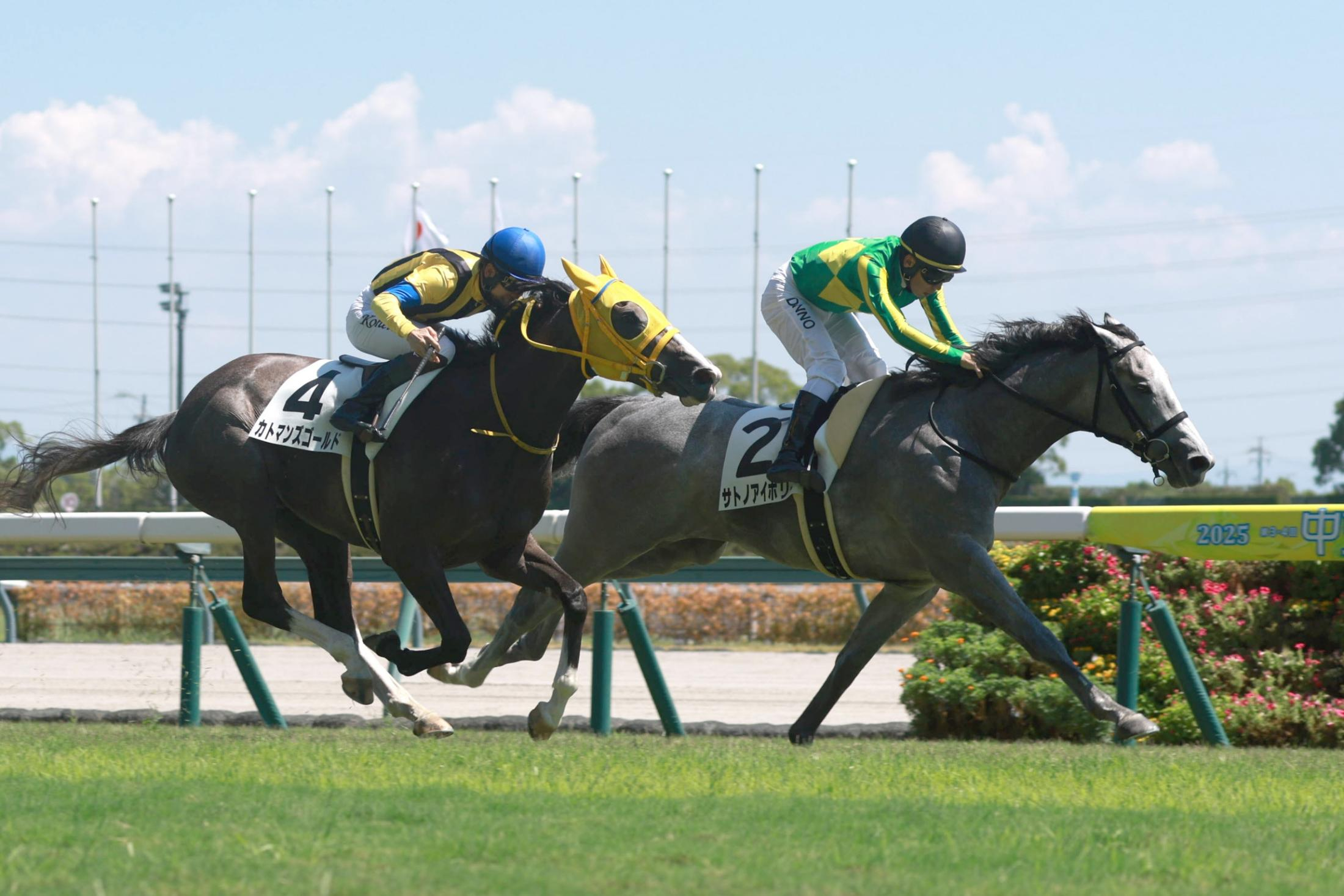 【新馬戦】サトノアイボリー　猛追しのいでＶ　団野「ポテンシャルを感じていました」