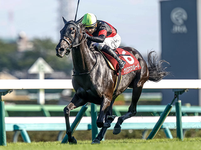 昨年の勝ち時計はレース史上唯一の1分56秒台 紫苑Sの勝ち時計ランキング