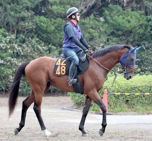 【不来方賞】砂の大物誕生!　ナルカミが3連勝で重賞初挑戦V　戸崎圭太騎手「今後がますます楽しみになりました」