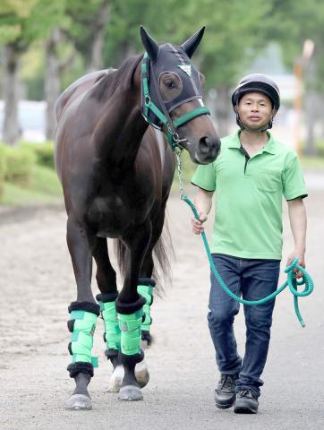 【京成杯オータムハンデ】エリカエクスプレスがスピード武器に重賞2勝目へ　杉山晴調教師「馬に自信を取り戻したい」