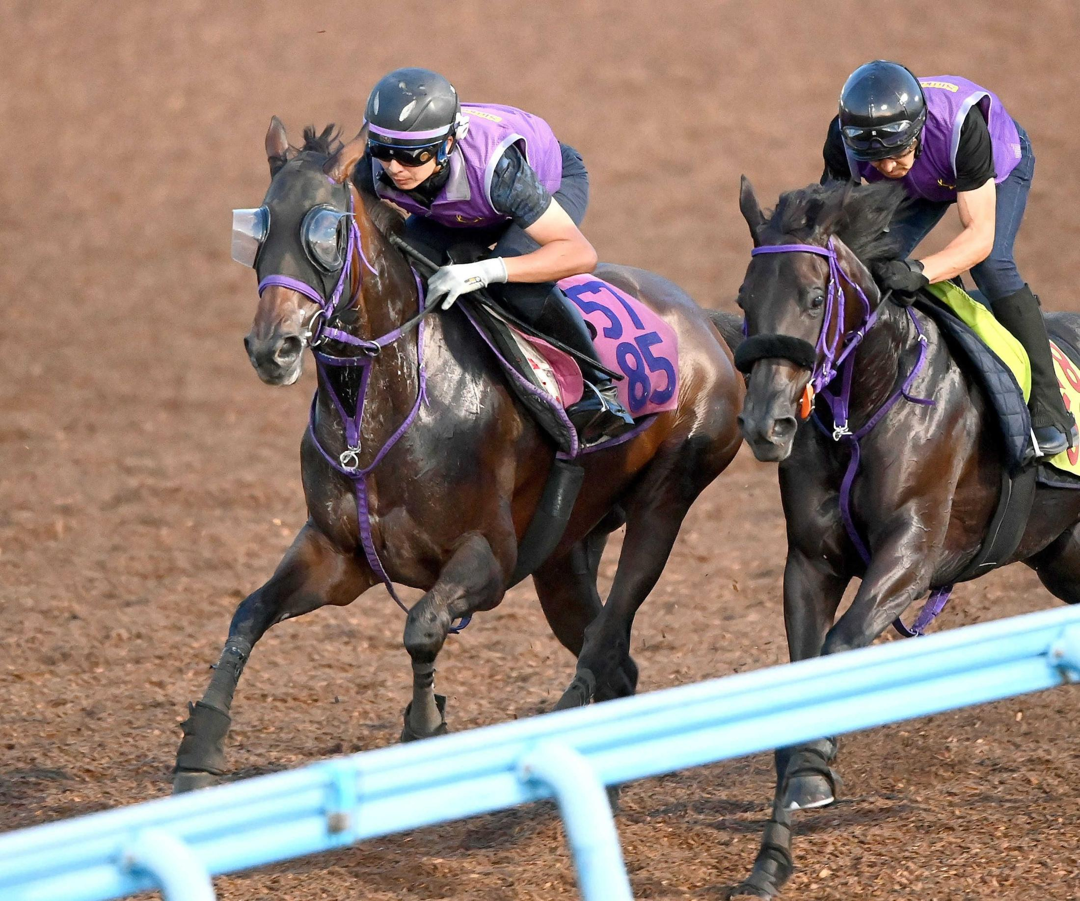 【紫苑Ｓ】ジョスラン　筋肉付き迫力増した！全兄はＧ１・３勝　２１年年度代表馬のエフフォーリア　鹿戸師「仕上がりは良さそう」
